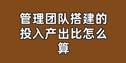 管理团队搭建的投入产出比怎么算